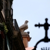 Barcelona 2011
