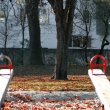 peculiar playground by ines eiba